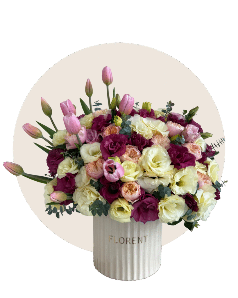 diseño sin título (11)