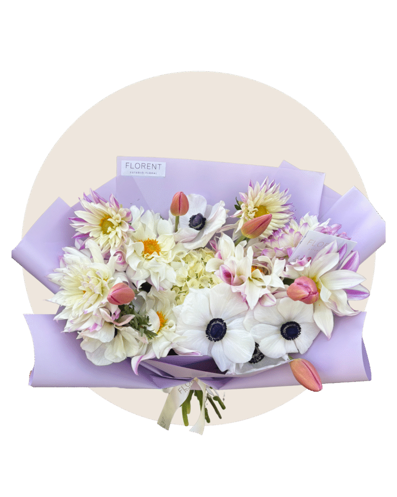 diseño sin título (12)