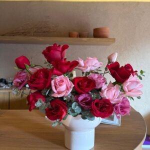 whatsapp image 2026 01 10 at 1.02.24 pm (1)