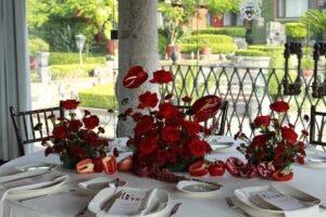 whatsapp image 2026 01 13 at 5.11.54 pm (3)