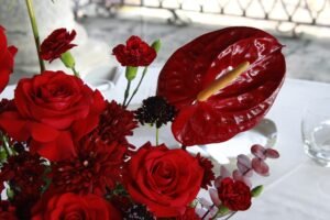 whatsapp image 2026 01 13 at 5.11.54 pm (4)