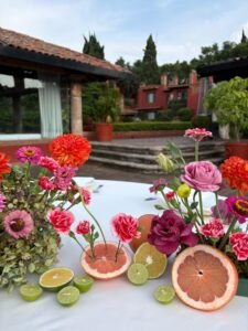 whatsapp image 2026 01 13 at 5.53.44 pm