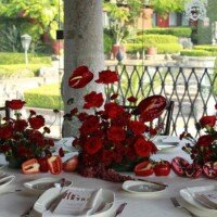 Eventos whatsapp image 2026 01 13 at 5.11.54 pm (3)