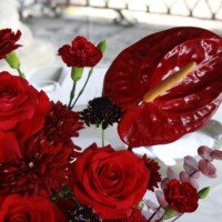 Eventos whatsapp image 2026 01 13 at 5.11.54 pm (4)