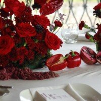 Eventos whatsapp image 2026 01 13 at 5.11.54 pm (6)