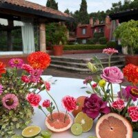 Eventos whatsapp image 2026 01 13 at 5.53.44 pm