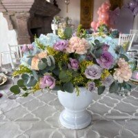 Eventos whatsapp image 2026 01 13 at 6.37.16 pm