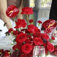 Eventos mg 9200