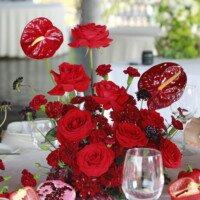 Eventos mg 9203