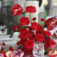 Eventos mg 9206