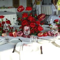 Eventos mg 9209