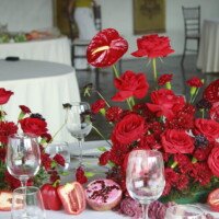 Eventos mg 9210