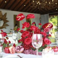 Eventos mg 9216