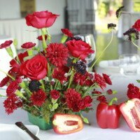 Eventos mg 9219