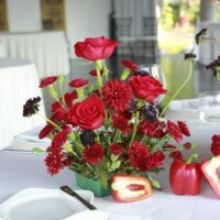 Eventos mg 9220