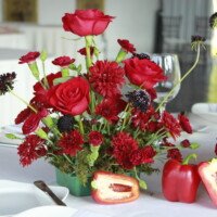Eventos mg 9221