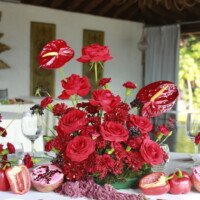Eventos mg 9222