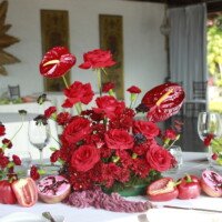 Eventos mg 9224