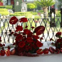Eventos mg 9276