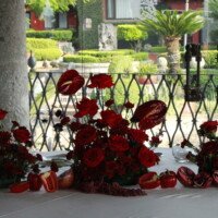 Eventos mg 9279
