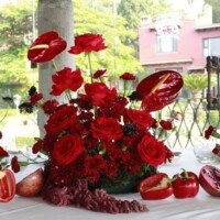 Eventos mg 9281