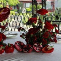 Eventos mg 9282
