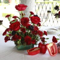 Eventos mg 9284