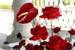 Talleres y Cursos Florales mg 9293
