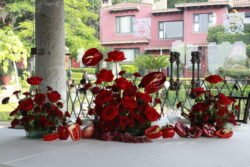 Talleres y Cursos Florales mg 9304