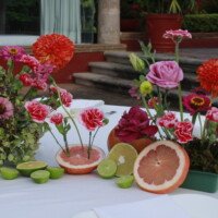 Eventos mg 9371