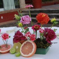 Eventos mg 9373