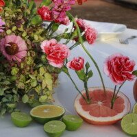 Eventos mg 9380