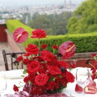 Eventos mg 9436