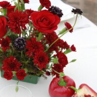Eventos mg 9438